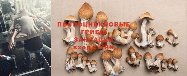 метадон Рославль