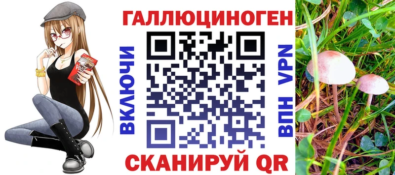 как найти наркотики  Галич  Галлюциногенные грибы Cubensis 